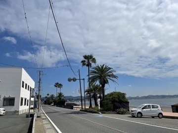 マルサンファーム-2