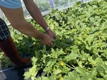 マルサンファーム-3