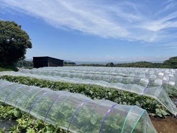 マルサンファーム-4