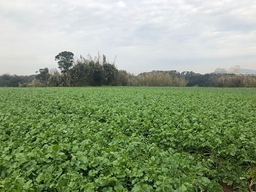 マルサンファーム-6