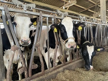 株式会社ブッチーファーム-4