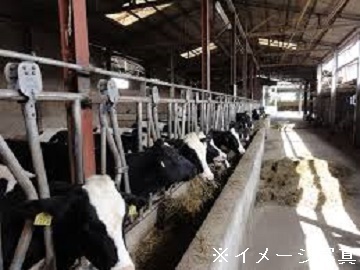 静岡県富士宮市×酪農/法人【38781】-1