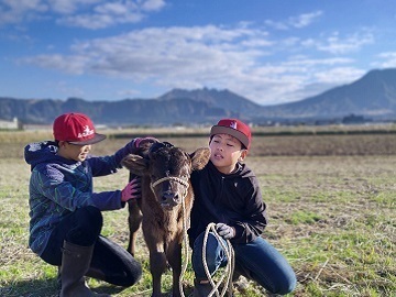 株式会社AGRISE-8