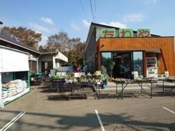 有限会社たねや-3