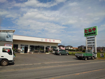 有限会社たねや-4