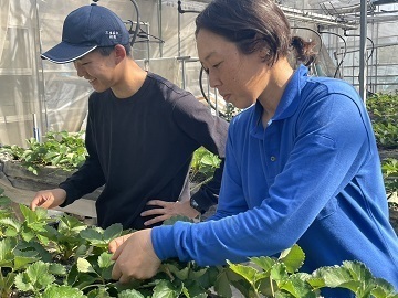 なかやま農園-2