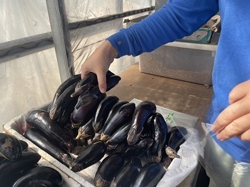 なかやま農園-3