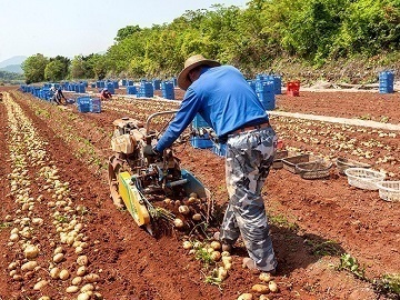 株式会社髙橋農園-3