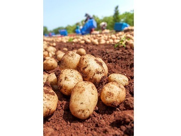 株式会社髙橋農園-4