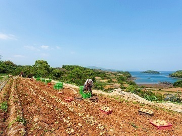 株式会社髙橋農園-8