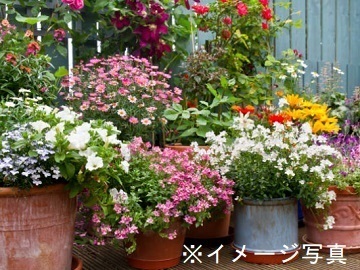 新潟県新潟市×稲作/法人【38864】-2