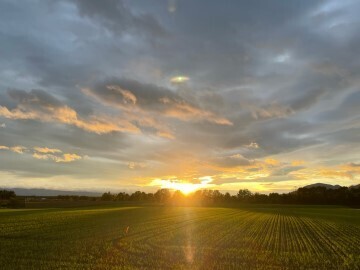 株式会社YYFarm-1