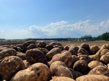 株式会社YYFarm-3