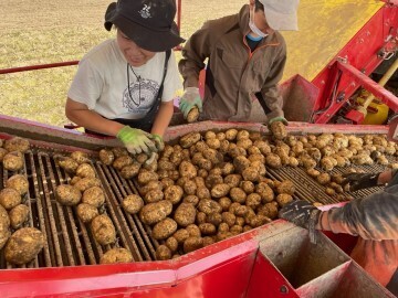 株式会社YYFarm-4