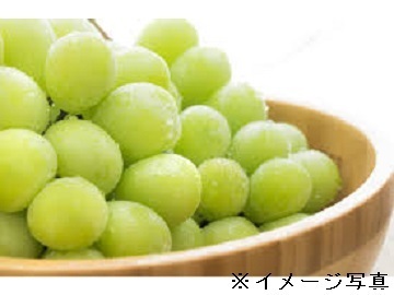 山梨県・海外×果樹/法人【38980】-1