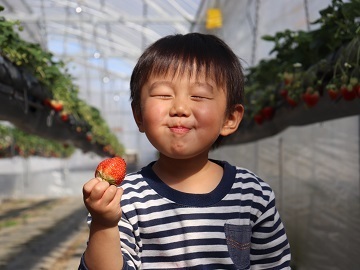 農マル園芸 吉備路農園/あかいわ農園-6