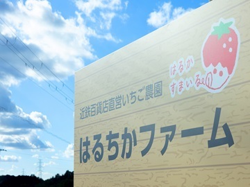 いちご・マンゴー農場 はるちかファーム(株式会社近鉄百貨店)-4