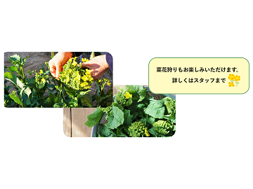 農事組合法人新治営農組合-5