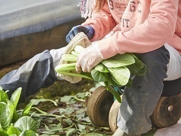 株式会社ふしちゃん-3