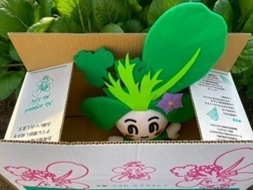 株式会社ふしちゃん-8