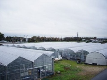 ハッピー農園株式会社-1