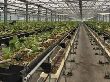 ハッピー農園株式会社-3