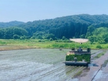 山形県小国町×稲作・畑作/法人【34823】-1