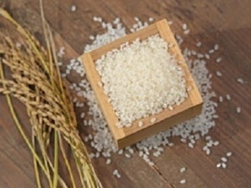 山形県小国町×稲作・畑作/法人【34823】-2