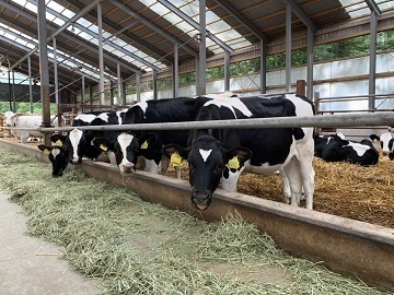 北海道標茶町×酪農/法人【3128】-3