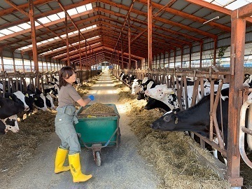 北海道標茶町×酪農/法人【3128】-4