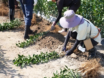 株式会社丸筑農園-3