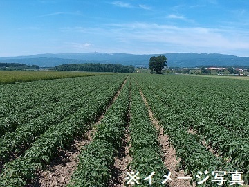 鹿児島県長島町×露地野菜/法人【39198】-1