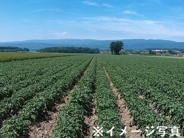 鹿児島県長島町×野菜/法人【39198】-1