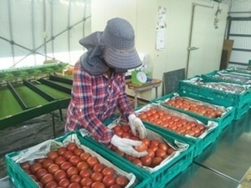 穂のぼの農園-6