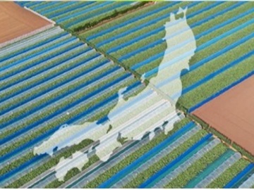 住商アグリビジネス株式会社【東京都:人事】-2