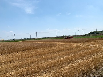 株式会社おひさま-1