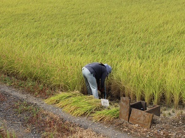株式会社おひさま-7