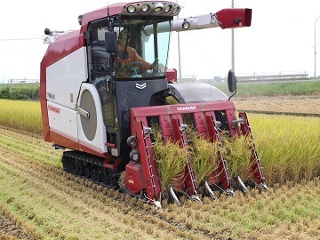 株式会社おひさま-8