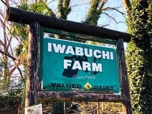 岩渕牧場【多古町】-top