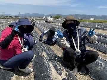 有限会社藤原農園-3