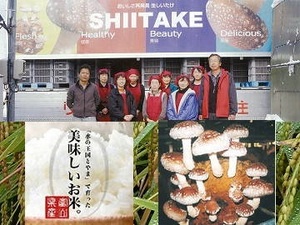 有限会社フジサワ-top