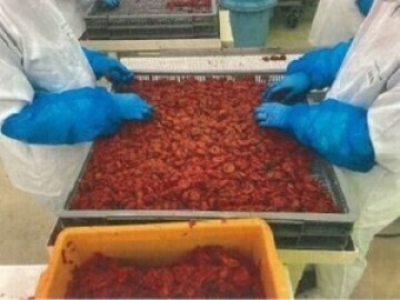 南紀梅干株式会社-5