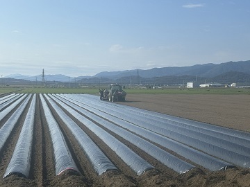 松隈ファーム-2