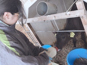 株式会社野口畜産-4