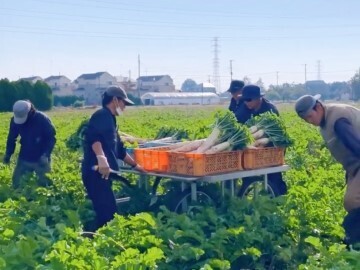 株式会社森谷農園-2
