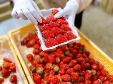 株式会社森谷農園-5