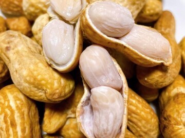 株式会社森谷農園-8