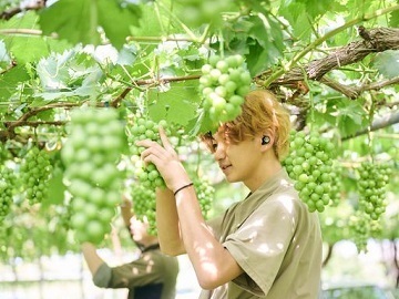 みはらしの千果園-7