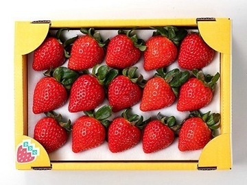 株式会社和銅農園-2