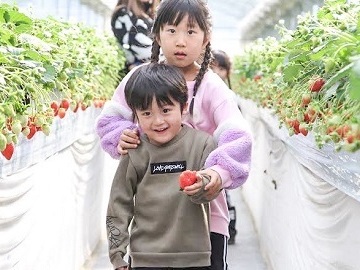 株式会社和銅農園-3